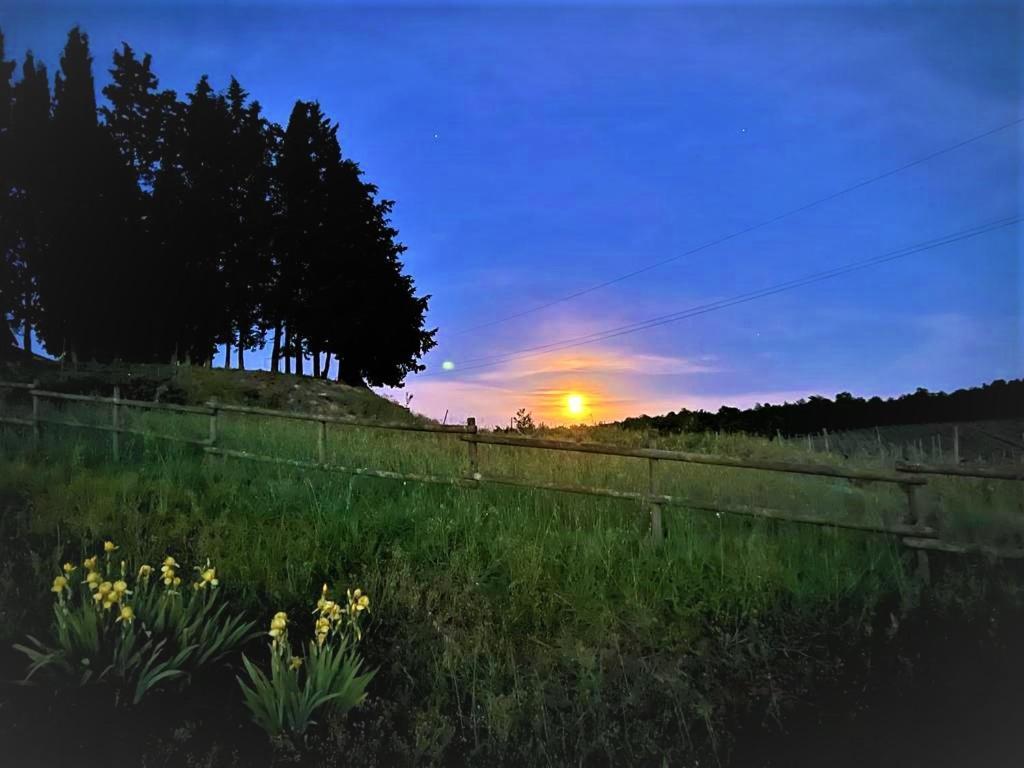 Podere La Selva Rapolano Terme Buitenkant foto