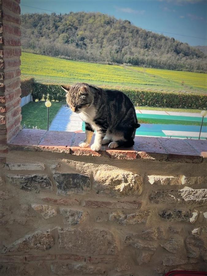 Podere La Selva Rapolano Terme Buitenkant foto