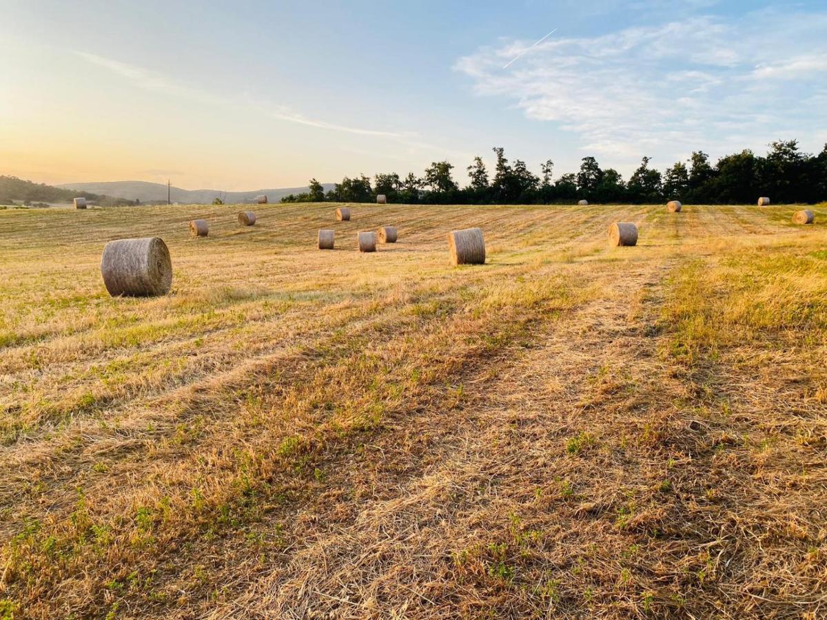 Podere La Selva Rapolano Terme Buitenkant foto
