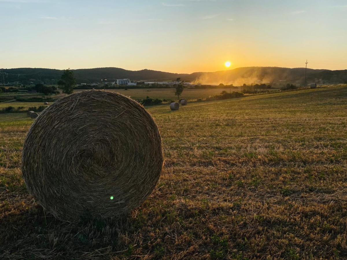Podere La Selva Rapolano Terme Buitenkant foto