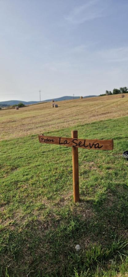 Podere La Selva Rapolano Terme Buitenkant foto
