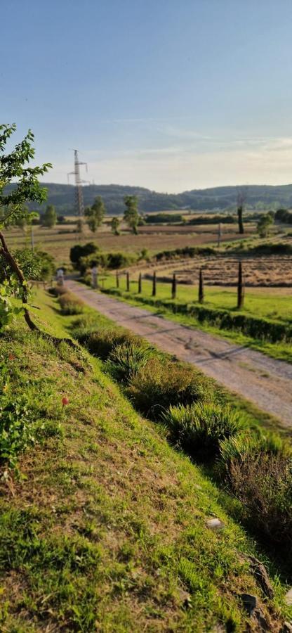 Podere La Selva Rapolano Terme Buitenkant foto