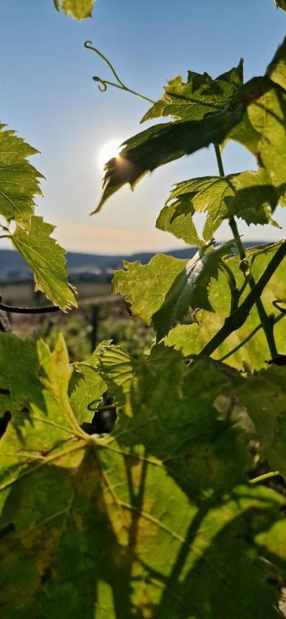 Podere La Selva Rapolano Terme Buitenkant foto