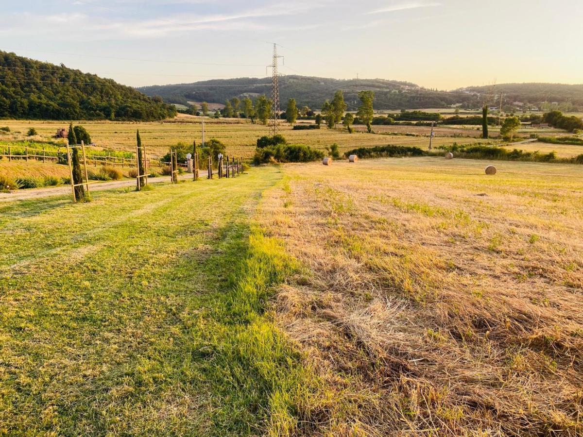 Podere La Selva Rapolano Terme Buitenkant foto