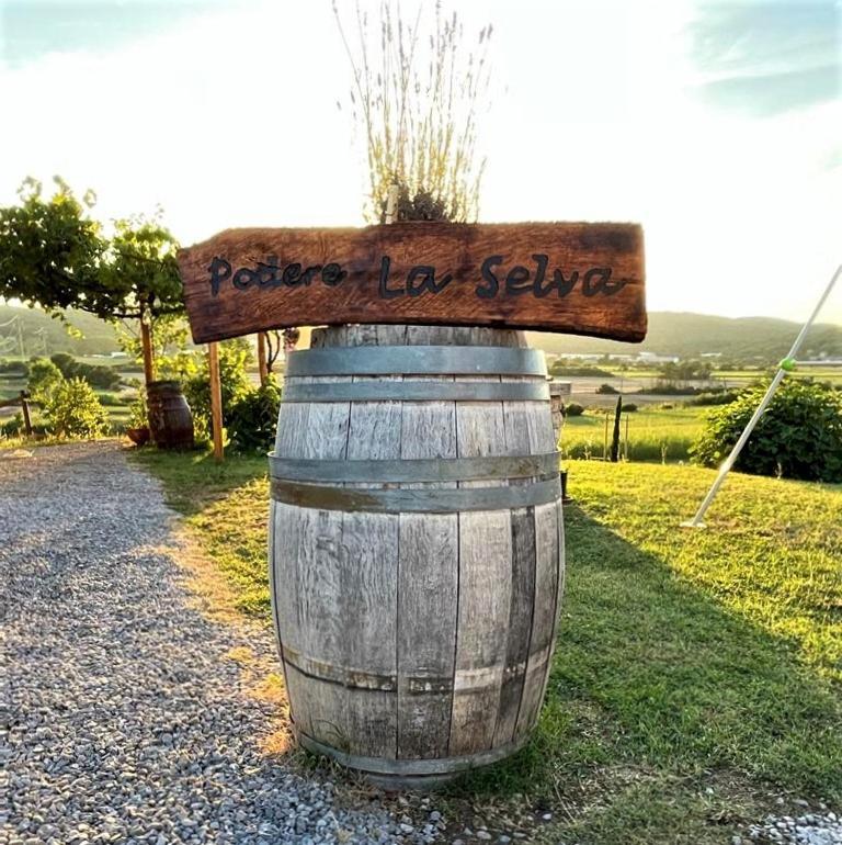 Podere La Selva Rapolano Terme Buitenkant foto