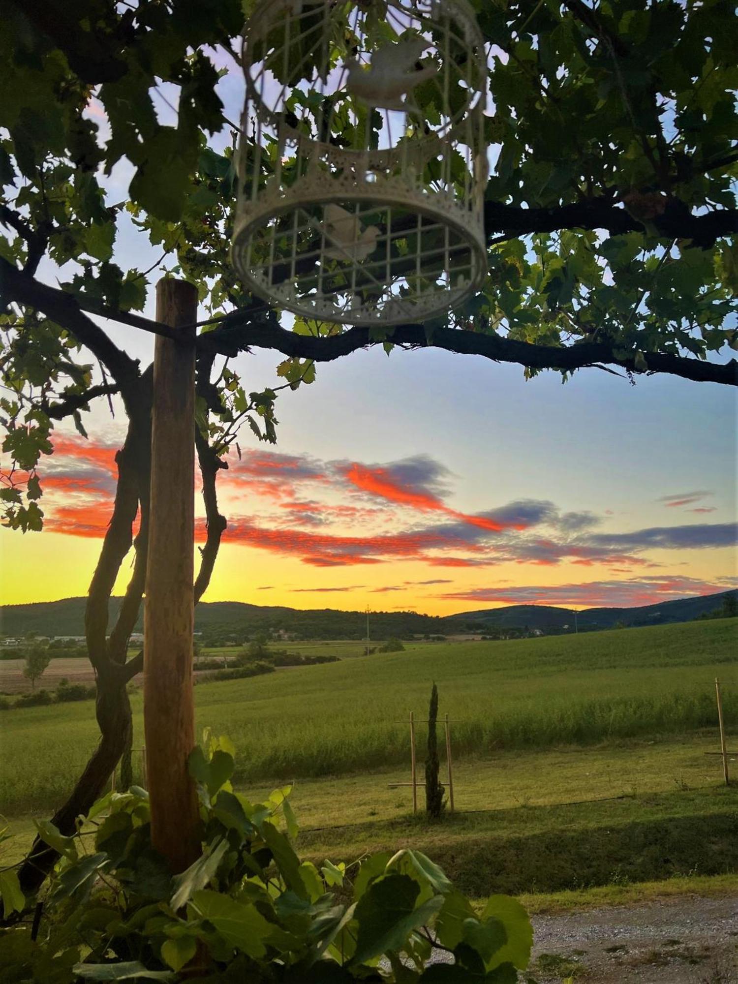 Podere La Selva Rapolano Terme Buitenkant foto